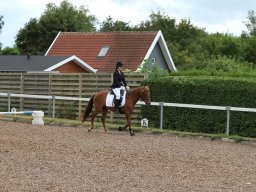 img_4656_web